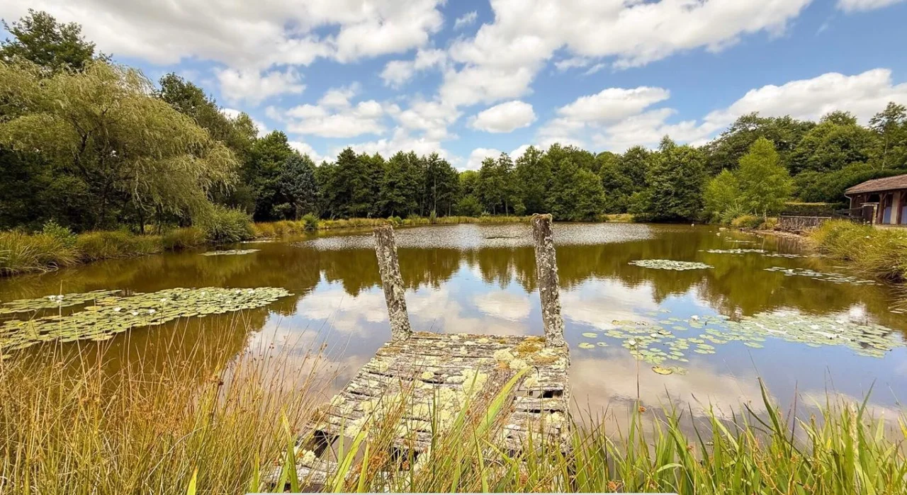 Garden and grounds view 2